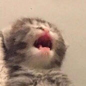 AAAAAAAAAAAAAAAAAAAAAAAAAAAAA